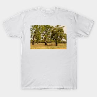 Murrumbidgee River Floodplain 01 T-Shirt